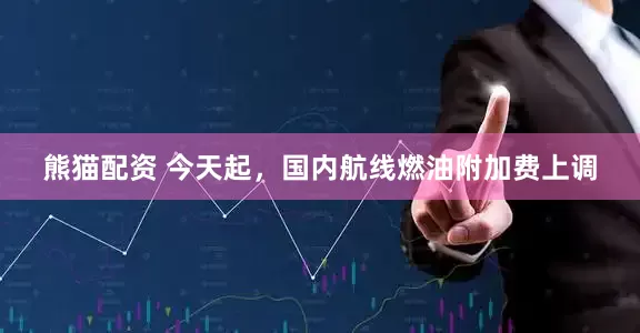 熊猫配资 今天起，国内航线燃油附加费上调