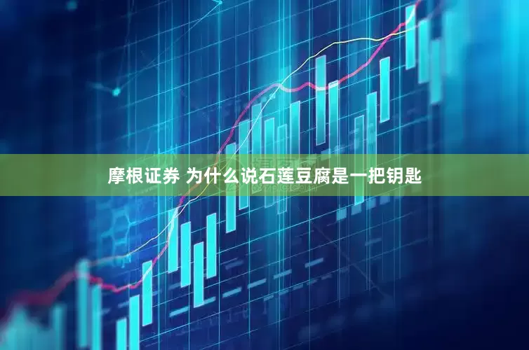 摩根证券 为什么说石莲豆腐是一把钥匙