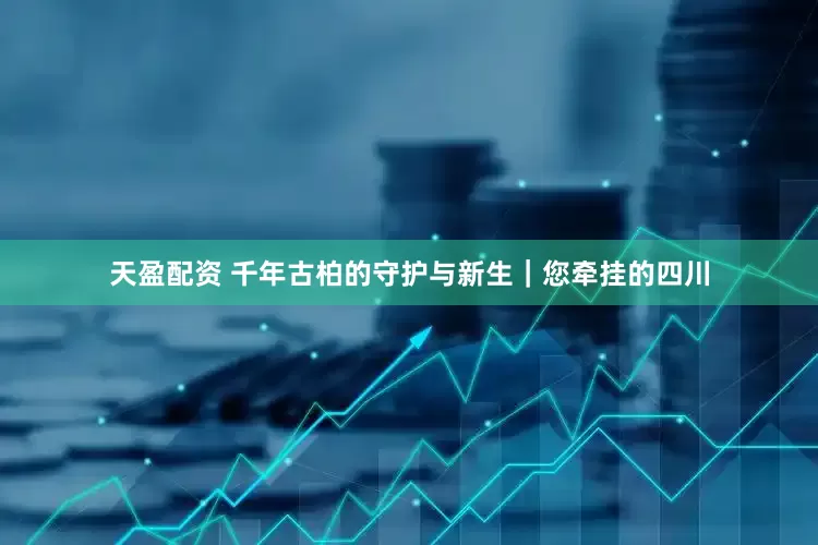 天盈配资 千年古柏的守护与新生｜您牵挂的四川