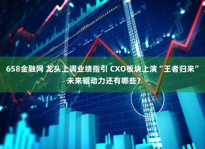 658金融网 龙头上调业绩指引 CXO板块上演“王者归来” 未来驱动力还有哪些？