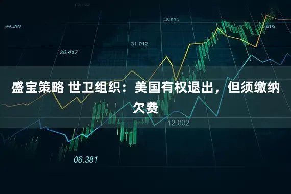 盛宝策略 世卫组织：美国有权退出，但须缴纳欠费