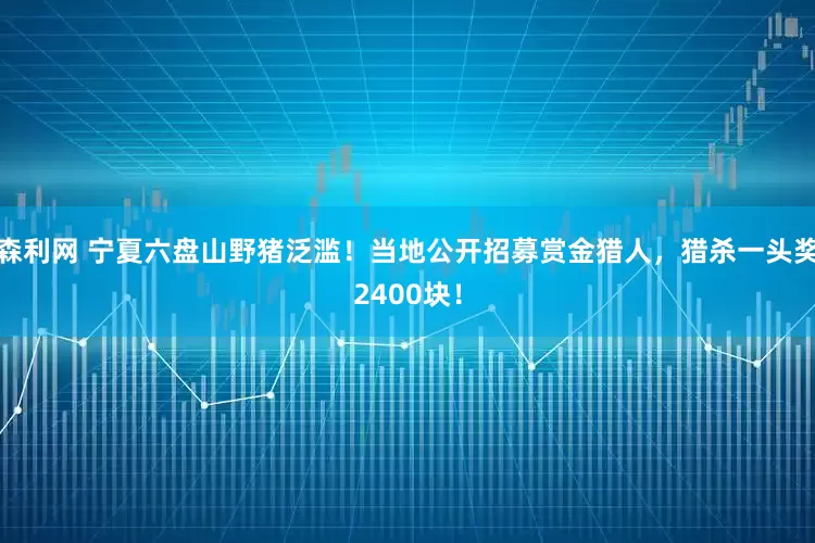 森利网 宁夏六盘山野猪泛滥！当地公开招募赏金猎人，猎杀一头奖2400块！