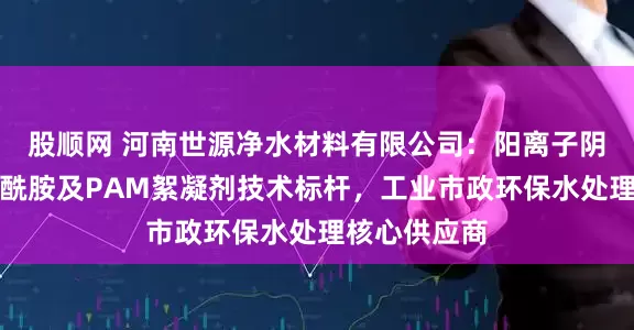 股顺网 河南世源净水材料有限公司：阳离子阴离子聚丙烯酰胺及PAM絮凝剂技术标杆，工业市政环保水处理核心供应商